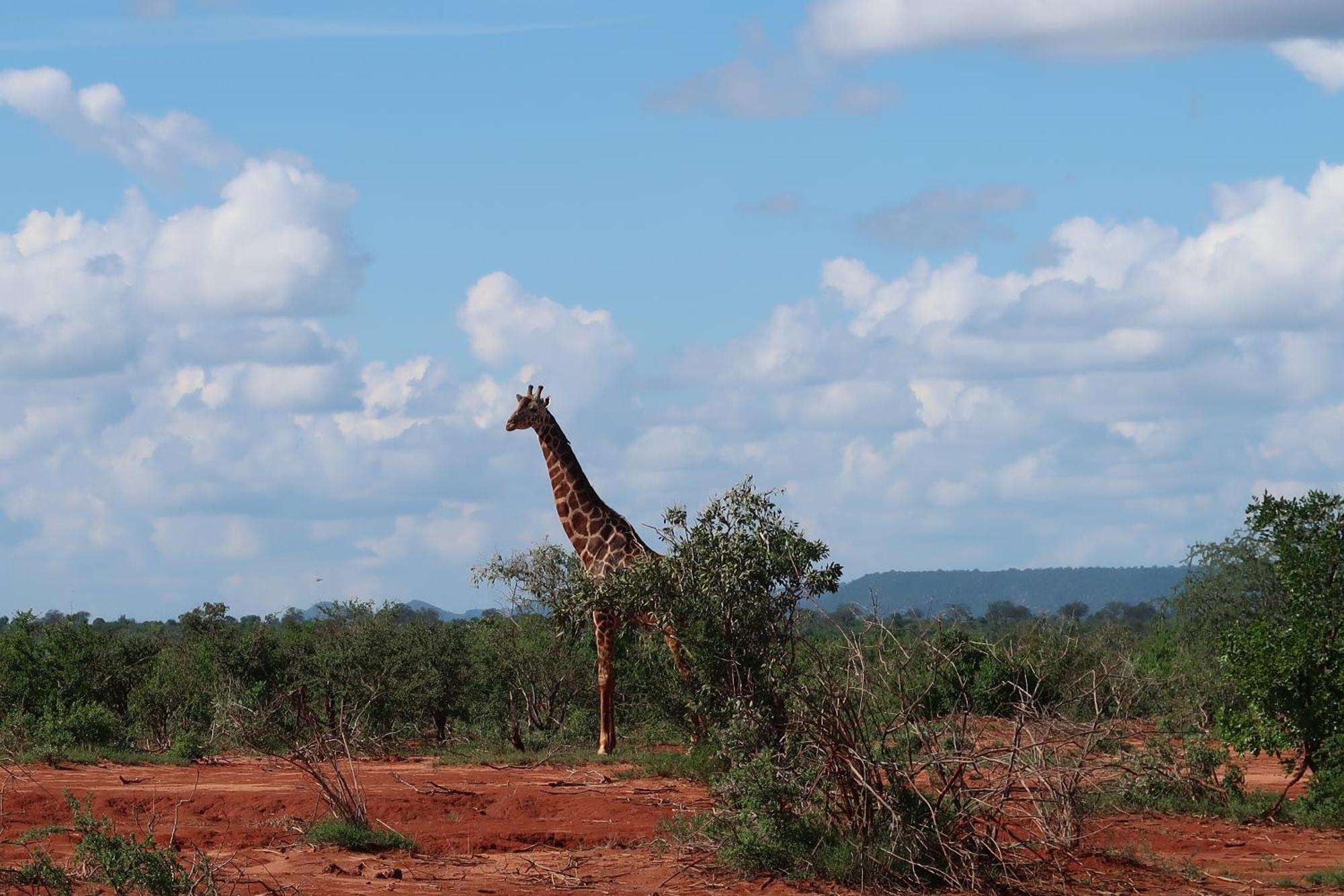 Tausa Tsavo Eco Lodge Voi Exterior photo